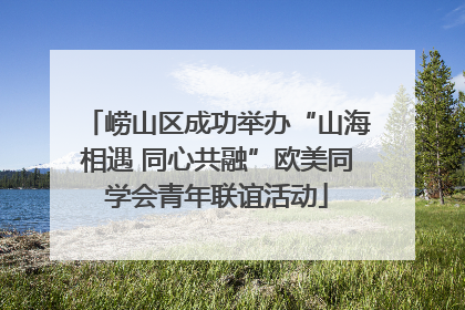 崂山区成功举办“山海相遇 同心共融”欧美同学会青年联谊活动